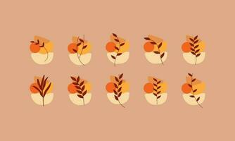 Autumn leaves collections with organic shapes element. Leaves elements collection. Set of autumn leaves element. vector