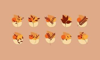 Autumn leaves collections with organic shapes element. Leaves elements collection. Set of autumn leaves element. vector