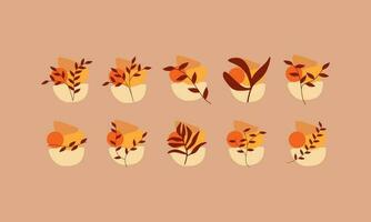 Autumn leaves collections with organic shapes element. Leaves elements collection. Set of autumn leaves element. vector