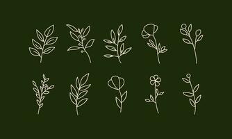 Set of leaf elements illustration. Leaves elements illustration. Collections of leaf element isolated on green background. vector