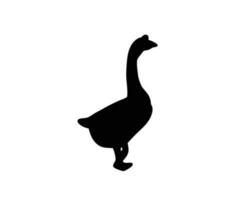 Goose silhouette. Domestic farm bird in black color. Vector illustration about animal.