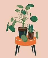 Pilea and Sansevieria houseplants on the table illustration. Scandinavian cozy home decor. Flat vector colorful cartoon icon illustration of house plant isolated.