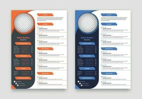 Modern professional cv or resume layout design with two color variations vector