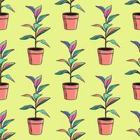 Pot plant, ficus seamless pattern, background vector