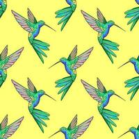 Hummingbird, colibri bird seamless pattern, background vector