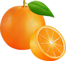 reif Orange Obst png