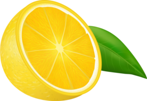 Ripe Orange Fruit png