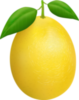 Ripe Orange Fruit png