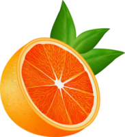 rijp oranje fruit png
