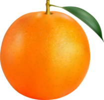 rijp oranje fruit png