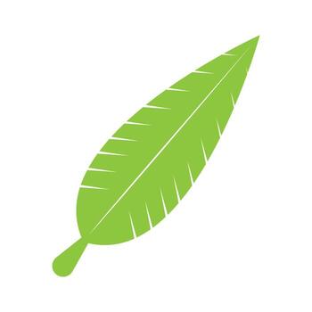 leaf icon vector