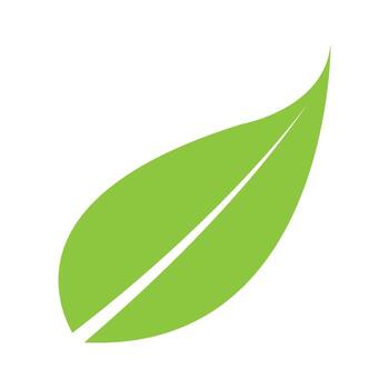 vector de icono de hoja