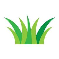 grass icon vector