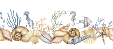 Seashell seamless Border. Hand drawn watercolor illustration of Sea Shell ornament on a transparent background. Drawing of undersea Frame with corals and seaweeds. Underwater pattern for banner png