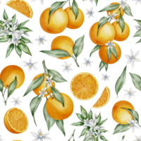 Seamless Pattern with Orange Fruit Branches, green leaves and flowers. Hand drawn watercolor illustration of citrus food for wrapping paper or textile design. Print on a transparent background. png