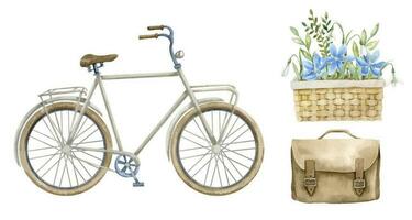 Set with Bicycle, Flowers in wicker basket and leather vintage bag. Hand drawn watercolor illustration of retro city Bike on white isolated background. Drawing of urban vintage transport. Cycle sport vector
