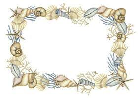 Seashell Rectangular Frame. Hand drawn watercolor illustration of border with sea shells and starfishes on white isolated background for greeting cards or invitations. Background with cockleshells vector