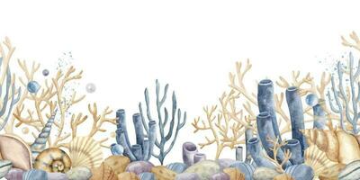 Underwater seamless Border with Corals, Seaweeds and Seashells. vector