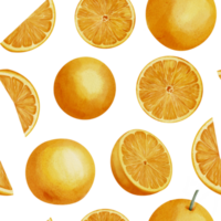 Orange Fruit Seamless Pattern. Hand drawn print with Slices of citrus food on white isolated background. Illustration of ornament with tangerine Circles for wrapping paper. Mandarin for juice label png