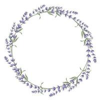 Lavender Wreath. Hand drawn watercolor floral circle Frame on white isolated background. Illustration of Lavandula border. Template for greeting cards or wedding invitations with Provence herbs vector