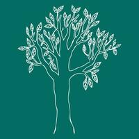 tree illustration, tree sketch, drawn white tree on green background vector