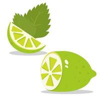 lemon slice with mint and lemon, lime, citrus vector