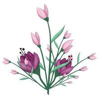 Blossom Pink Flower Bush vector