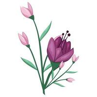 Blossom Pink Flower Bush vector