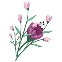 Blossom Pink Flower Bush vector