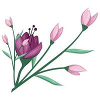 Blossom Pink Flower Bush vector