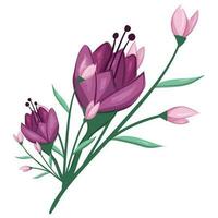 Blossom Pink Flower Bush vector