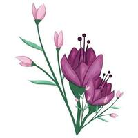 Blossom Pink Flower Bush vector