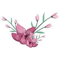 Half Bloom Pink Flower Bush vector