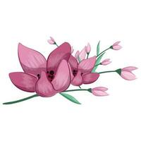 Half Bloom Pink Flower Bush vector