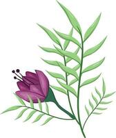 Flowers Blooms Long Leaf Weeds vector