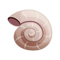 Snail shell, which can be found on the beach and in the garden. Seashell snail spiral isolated on white background. Flat vector illustration.