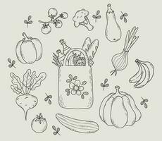 Eco bag with food and collection vegetables. Isolated vector outline drawings paper bag, beetroot, tomato, cucumber, eggplant, cauliflower, pumpkin and pepper.