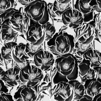 Monochrome botanical pattern with roses photo