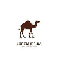 Camel graphic icon. Camel brown sign isolated on white background. Camel symbol of desert. Vector illustration