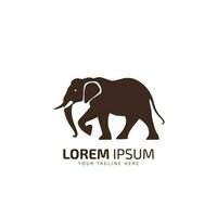 Cute elephant logo. Simple elephant logo. Elephant logo sign vector illustration design