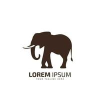 Elephant logo icon silhouette vector template