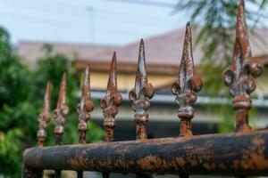 Old metal fashion fence. Decorative wrought iron fence. photo