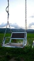 A white swing on a playground with a backdrop of green rice fields. photo