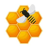 Bee combs with honey and bee. A natural organic beekeeping product. Color vector illustration in cartoon flat style. Isolated on a white background