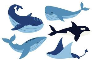 vector conjunto de mar animales colección de oceánico mamíferos. ballena, asesino ballena, mantarraya. plano ilustración. ballenas en dibujos animados estilo. blanco aislado antecedentes.