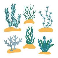 Algae Vector Set. Algae in the sand. Sea plants in a flat style. White isolated background.