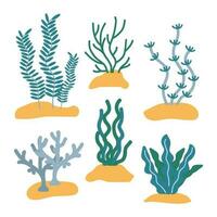 Algae Vector Set. Algae in the sand. Sea plants in a flat style. White isolated background.