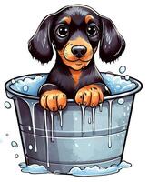 Dachshund Dog taking bath on a metallic bucket isolated on white background. Cartoon illustration style. photo