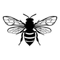 Honey Bee silhouette isolated on white background. Icon Vector illustration