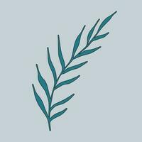 Graphic vector illustration of a green branch on a blue background.